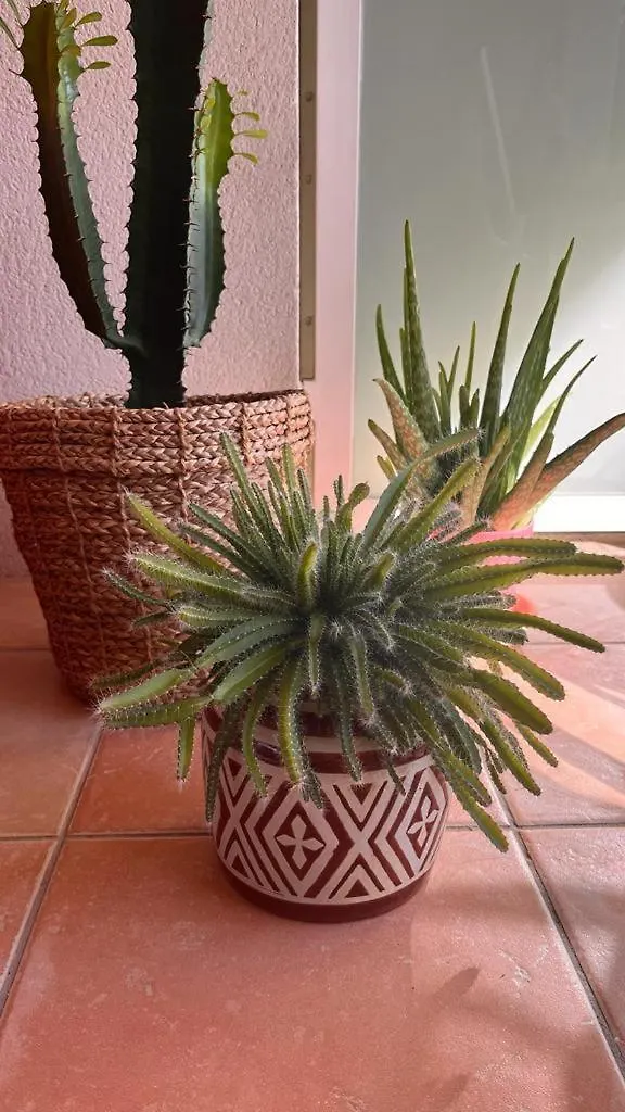Bel Appartement Au Calme Climatise Avec Terrasse Aix-en-Provence